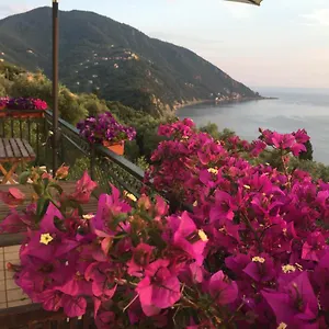  Bed and breakfast Rosse